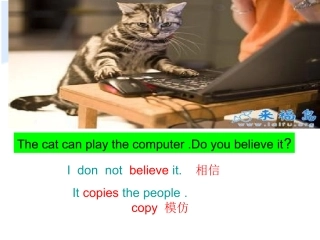 六上M7U1Idon’tbelieveit!课件