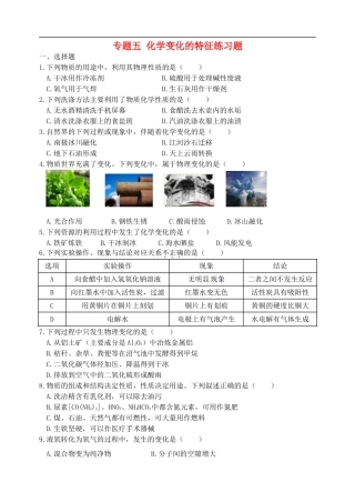 湖北省孝感市孝南区肖港镇肖港初级中学中考化学专题复习五化学变化的特征练习题无答案