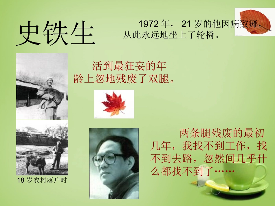 七年级语文上册2秋天的怀念课件7新版新人教版_第3页