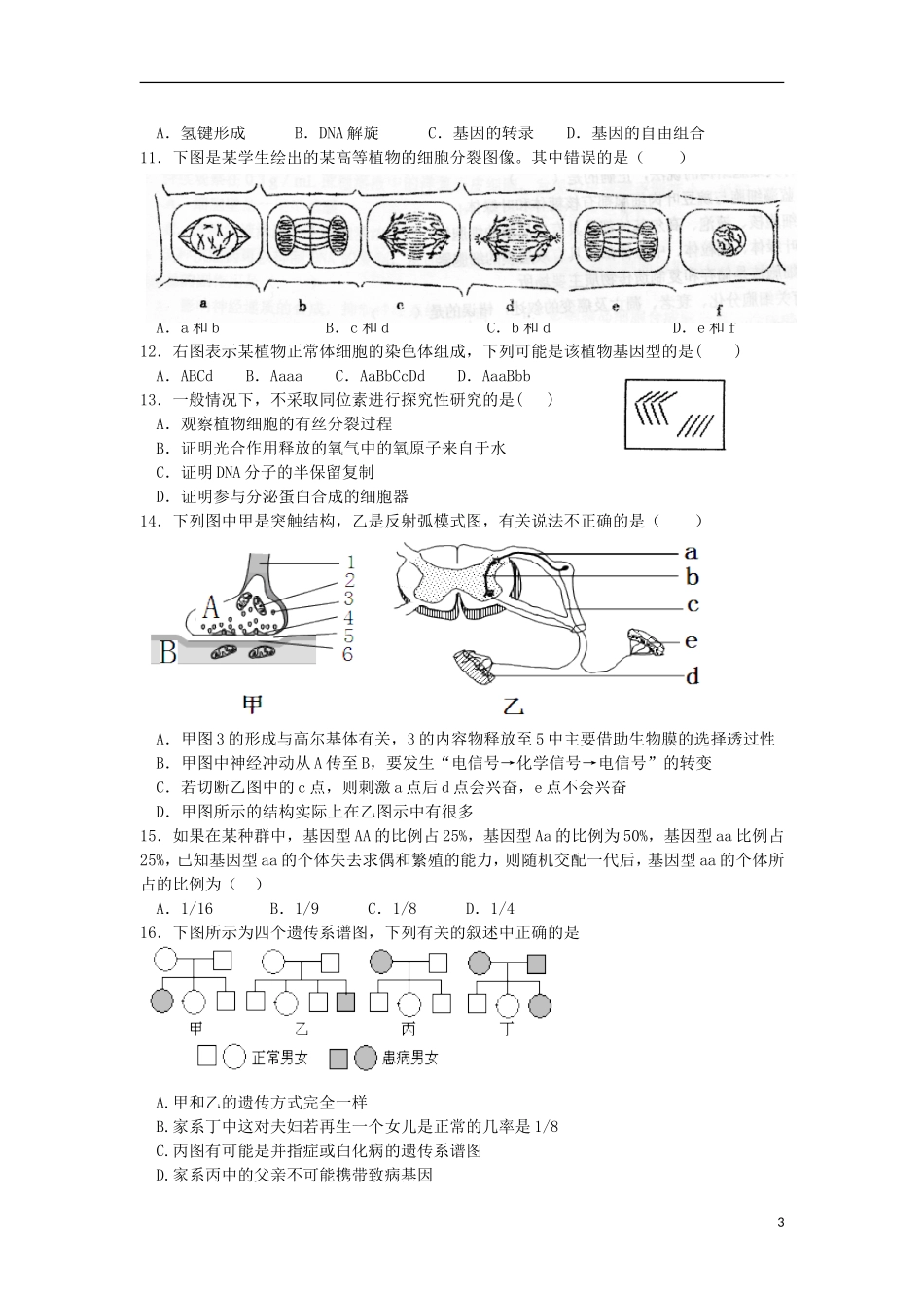 浙江省建德市新安江中学2013届高三生物12月月考试题浙科版_第3页