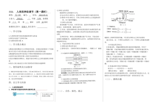高二生物22必修三神经调节复习学案