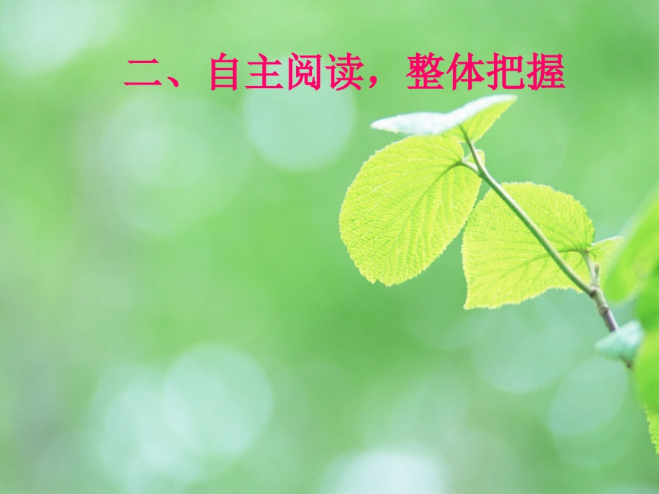 《一个小村庄的故事》_第3页