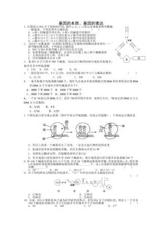 生物《创新设计--2012高考总复习》必修二：DNA分子的结构、复制___基因是有遗传效应的DNA片段：精品练习2