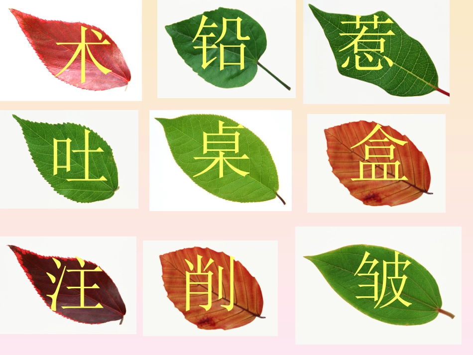 蓝树叶PPT课件_第3页