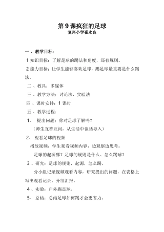 第9课疯狂的足球