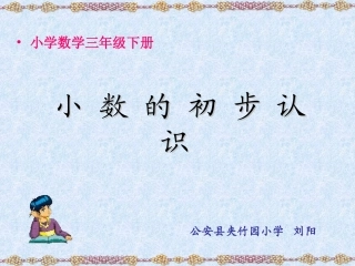 小数的初步认识1