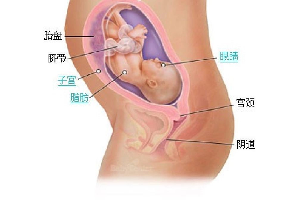 中班教案不再麻烦好妈妈x_第3页