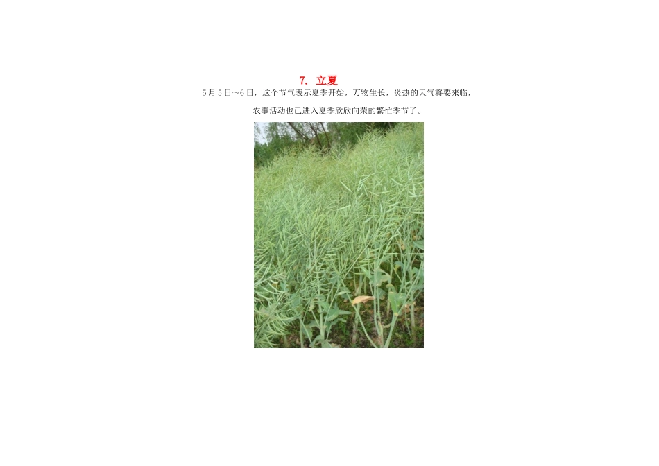 2015年高中地理24节气摄影素材7立夏_第1页