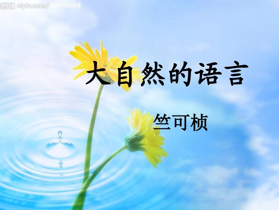 大自然的语言 (4)_第1页