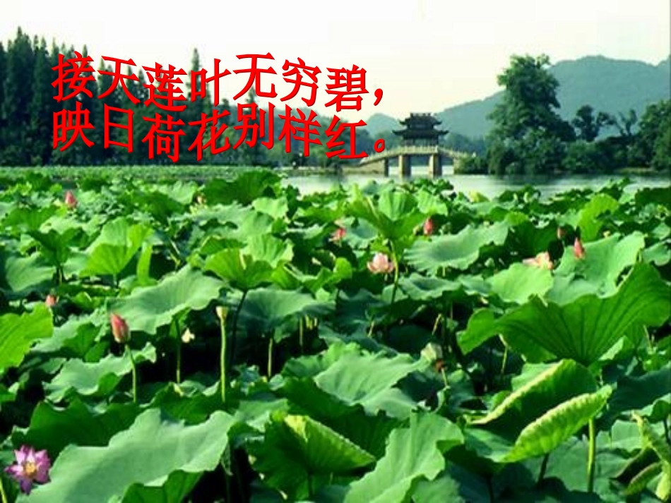 大自然的语言 (4)_第3页