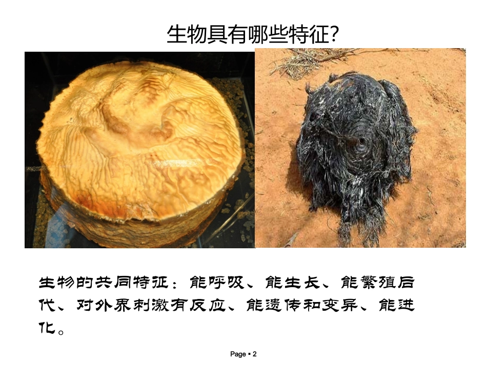 第二节细胞（1）_第2页