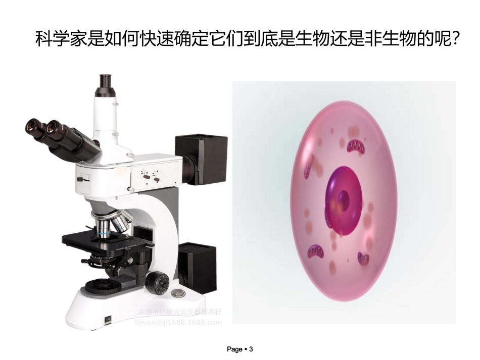 第二节细胞（1）_第3页
