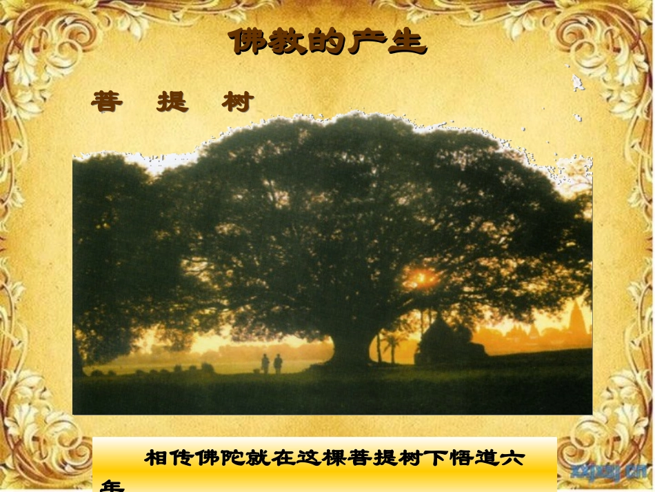 历史课件：岳麓版九年级上册第六课世界三大宗教（共26张PPT）_第3页