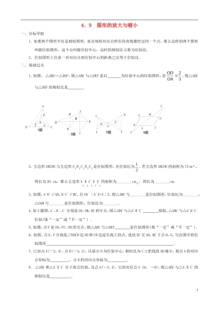 八年级数学下册 4.9  图形的放大与缩小同步练习集 北师大版