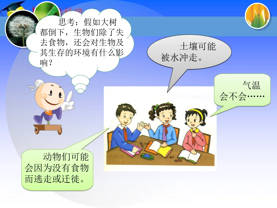 一棵顽强的小树_第2页