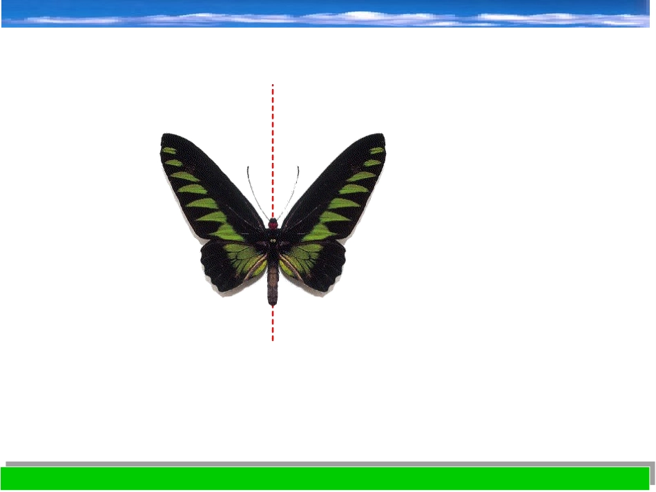 图形的轴对称课件八上 _第2页