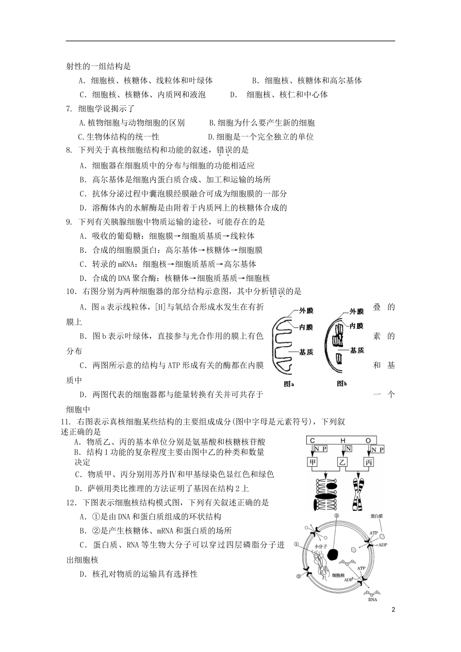 北京市师范大学附属实验中学2015届高三生物上学期期中试题_第2页