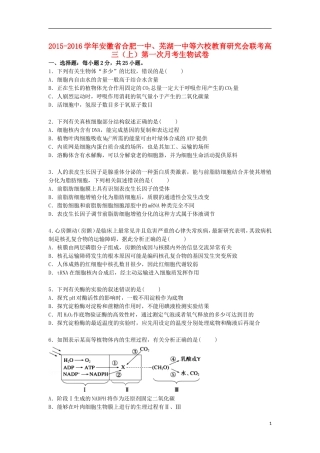安徽省合肥一中芜湖一中等六校2016届高三生物上学期第一次月考试卷含解析