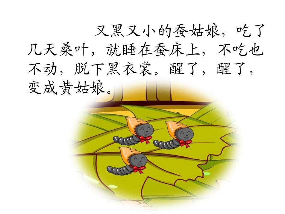 《蚕姑娘》课件_第3页