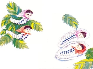 《蚕姑娘》课件
