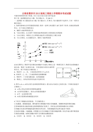 云南省景洪市2013届高三理综上学期期末考试试题