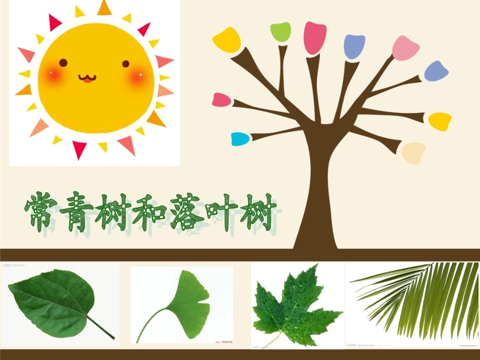 落叶树与常青树_第1页