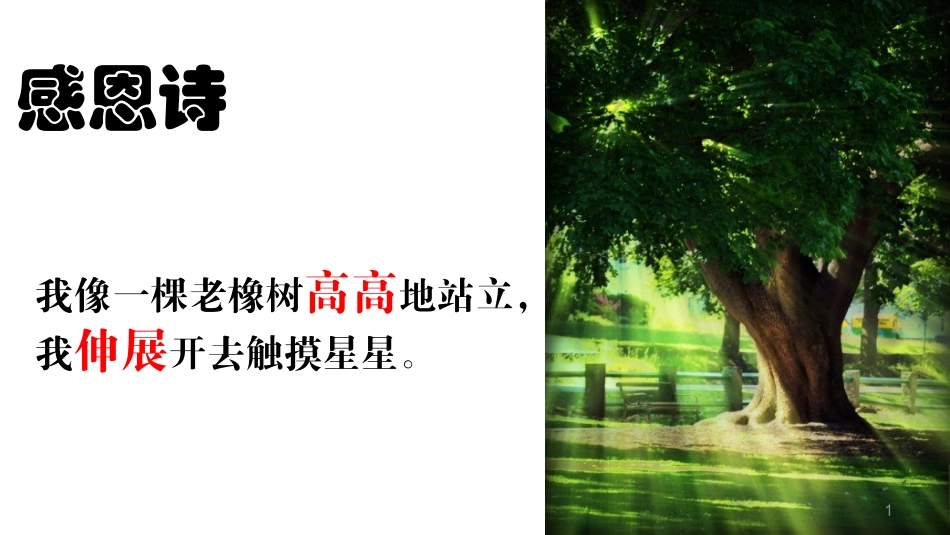 感恩诗早安小松鼠_第1页