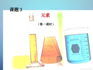 广东省河源市南开实验学校九年级化学上册3.3元素第1课时课件新版新人教版