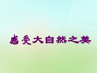 八年级政治下册第六单元第12课感受大自然之美课件鲁教版