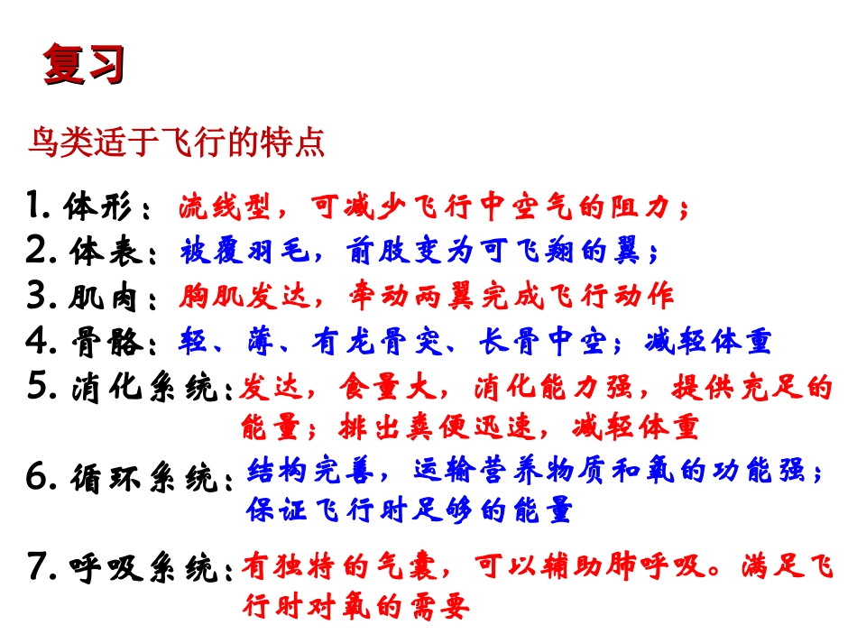 哺乳动物课件_第2页