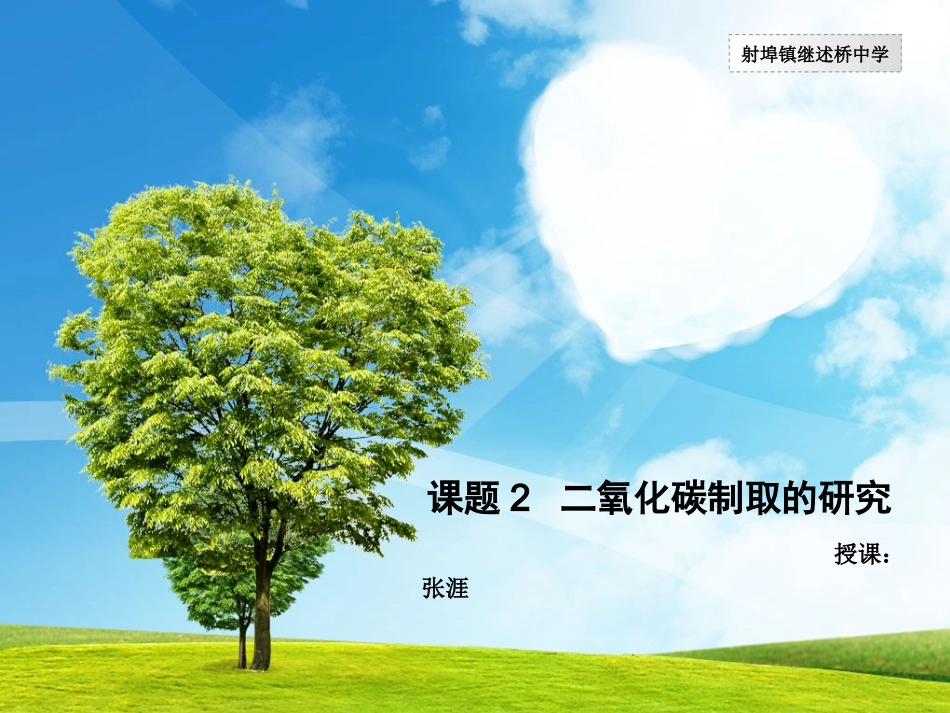 二氧化碳的制取研究_第1页