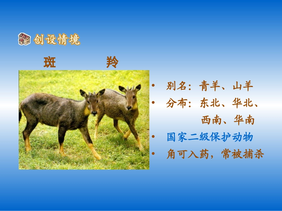 《斑羚飞渡》课件1_第3页