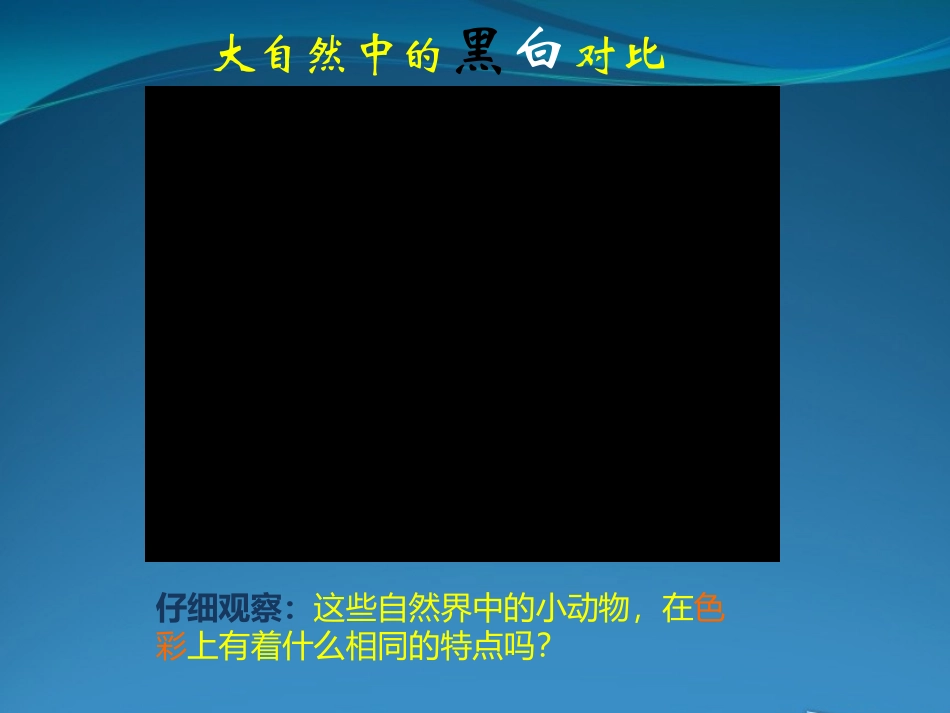 第04课线描画中的黑白对比_第2页