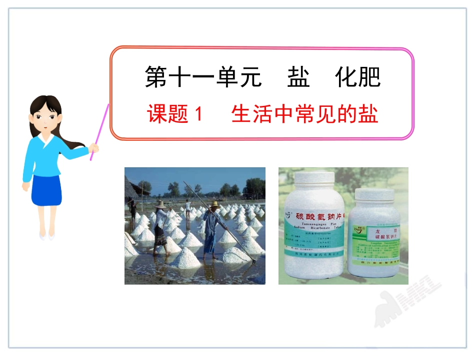 课题1生活中常见的盐_第1页