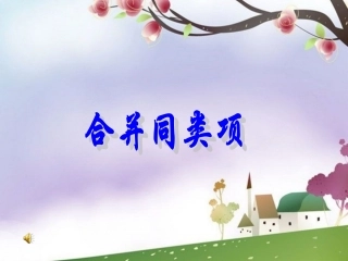 合并同类项 (2)