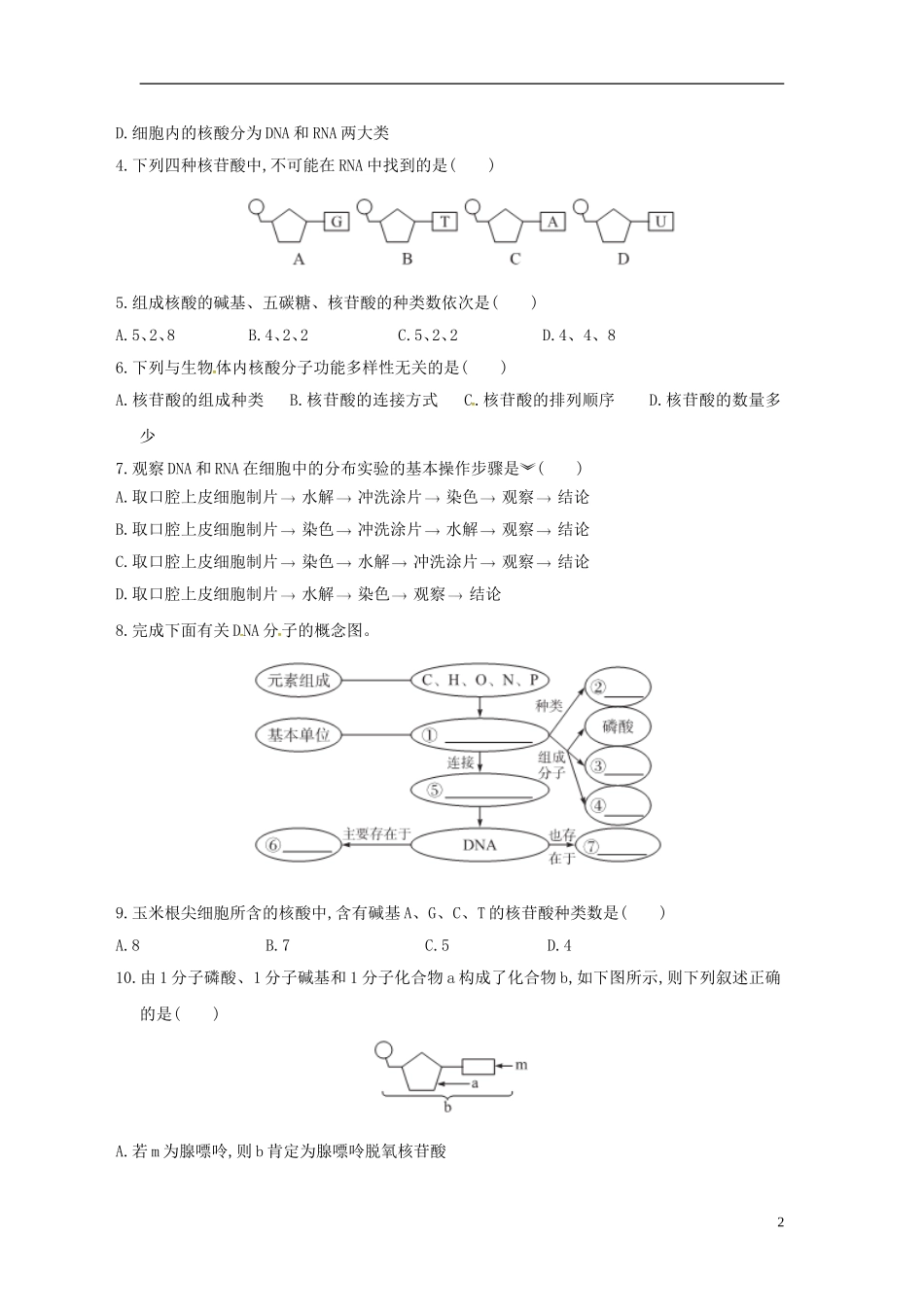 新疆兵团农二师华山中学高中生物第2章第3节遗传信息的携带者_核酸导学案无答案新人教版必修1_第2页