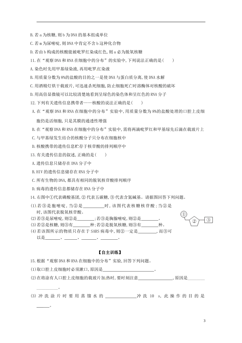 新疆兵团农二师华山中学高中生物第2章第3节遗传信息的携带者_核酸导学案无答案新人教版必修1_第3页