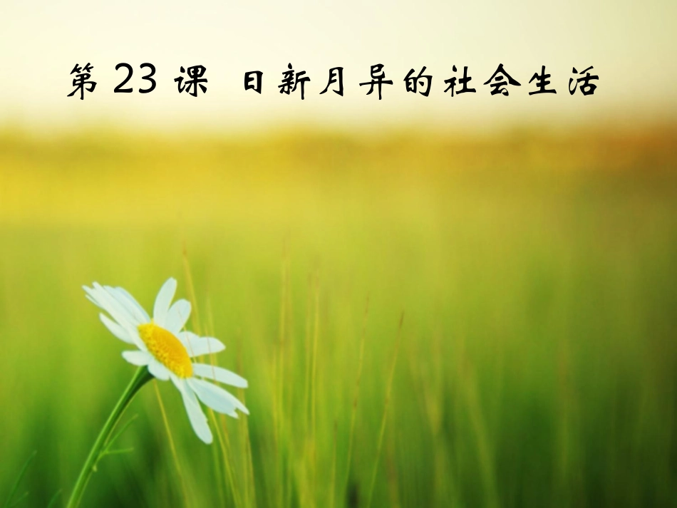 岳麓版历史八年级下第23课++日新月异的社会生活（共23张PPT）_第1页