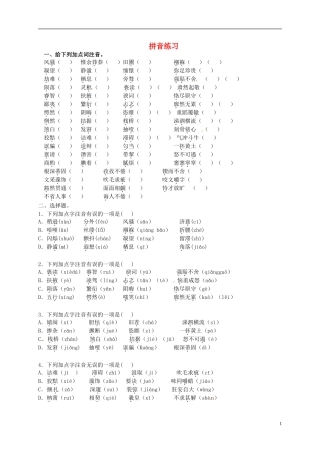 河南省濮阳市范县濮城镇中学九年级语文上册拼音练习无答案新人教版