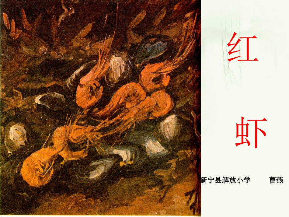 《红虾》课件_第1页