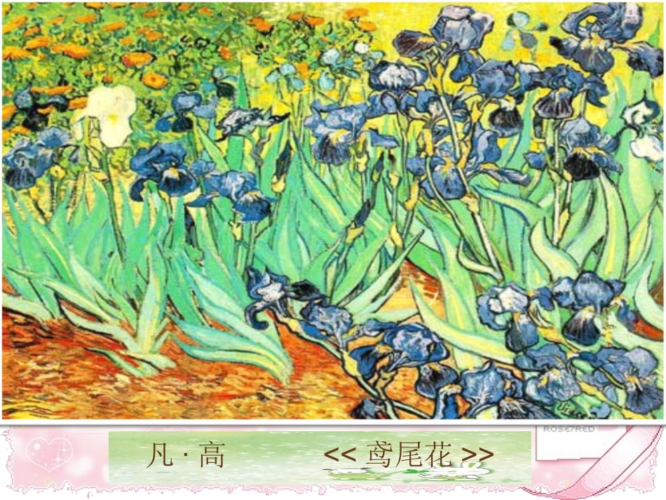 《红虾》课件_第2页
