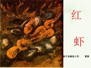 《红虾》课件