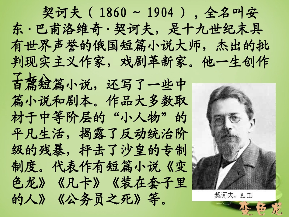 广东省广州市花都区赤坭中学九年级语文下册7变色龙课件新人教版_第3页