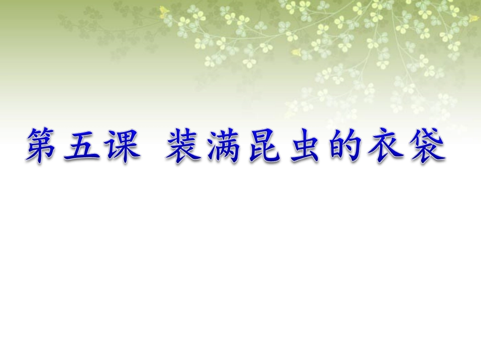 《装满昆虫的口袋》课件1_第1页