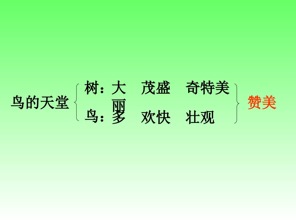 鸟的天堂PPT免费课件_第3页
