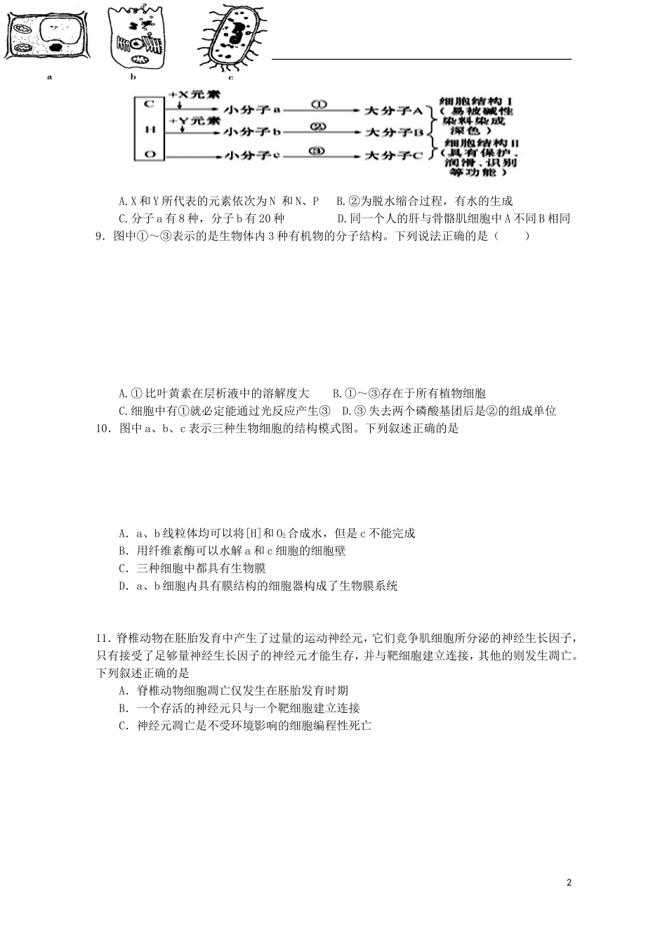 江西省南昌市第三中学2016届高三生物上学期第二次月考试题_第2页