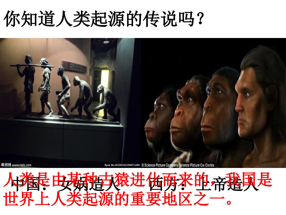 第1课中华大地的远古人类_第2页