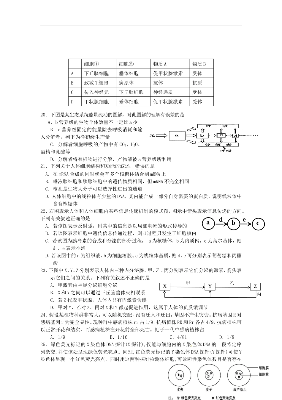 浙江省严州中学新安江校区2016届高三生物上学期第二次模拟考试试题_第3页