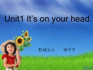 湘少版Unit1It’sonyourhead