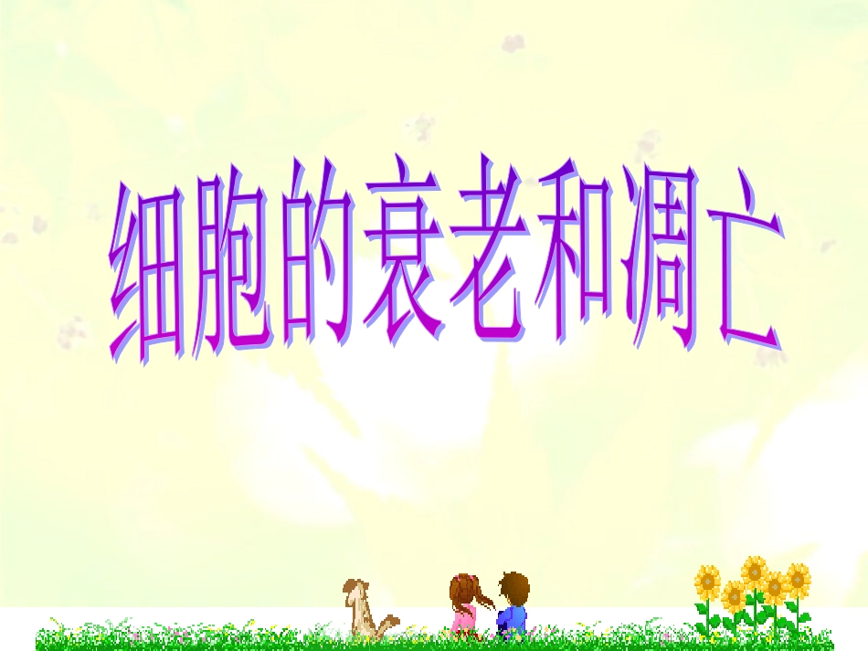 第3节细胞的衰老和凋亡１_第3页